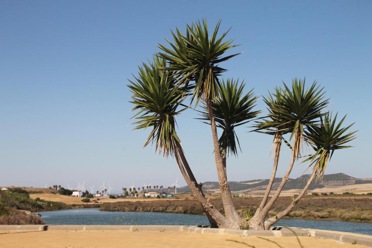 Apartamento Velarde Conil De La Frontera Εξωτερικό φωτογραφία
